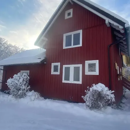 Ferienhaus Bahni´s Hütte